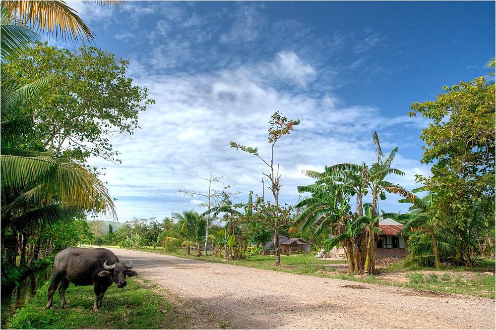 Remote stretch of coast in northern Palawan with empty sand and headlands